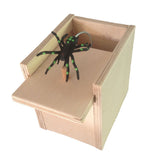 Spider Scare Box | BEST GIFT CARD PRANK IDEA